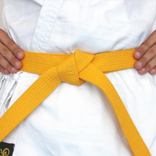 Best Of martial arts yellow belt requirements Martial arts belt levels